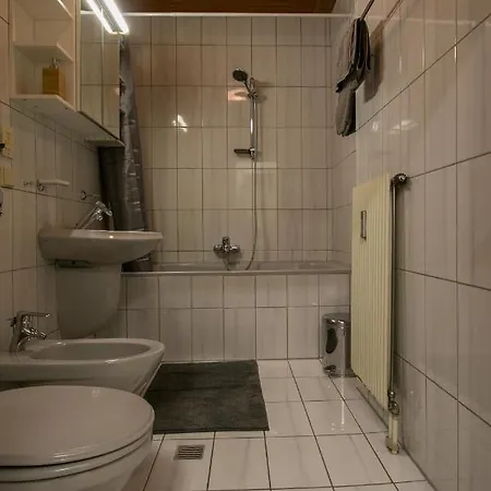 Flataid Schiessstattgasse Грац